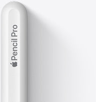 Apple Pencil Pro: Advanced Tools, Pixel-Perfect Precision,  Charges and Pairs magnetically.